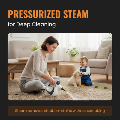 The Almighty Steam Cleaner™